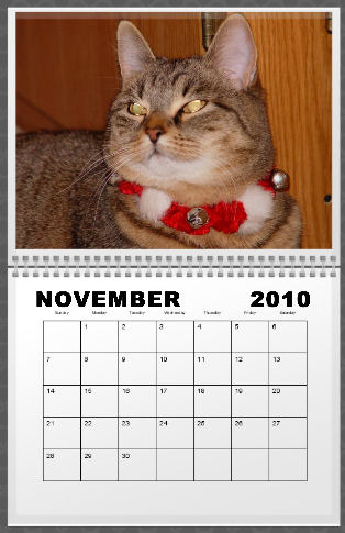 Calendar from seehere