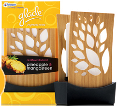 Glade-Expressions-Oil-Diffuser-Kit