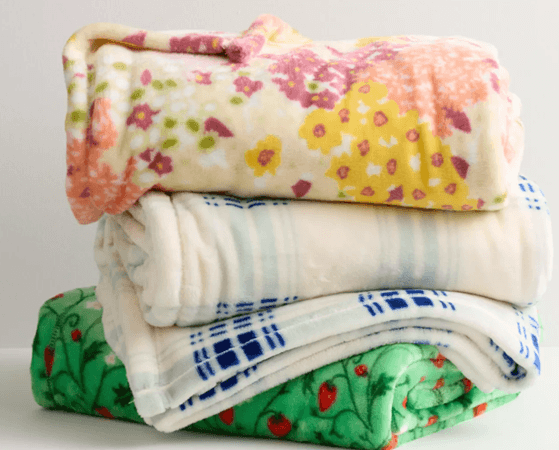 60" x 72" The Big One Oversized Supersoft Plush Throw Blanket ONLY $4. ...